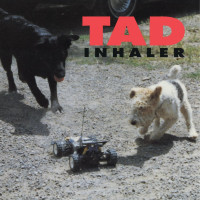 Tad: Inhaler (180g)