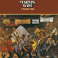 Marvin Gaye: I Want You (180g)