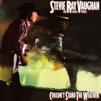 Stevie Ray Vaughan: Couldnt Stand The Weather (180g) (45...