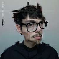 Joywave: How Do You Feel Now? (180g)