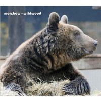 Merzbow: Wildwood