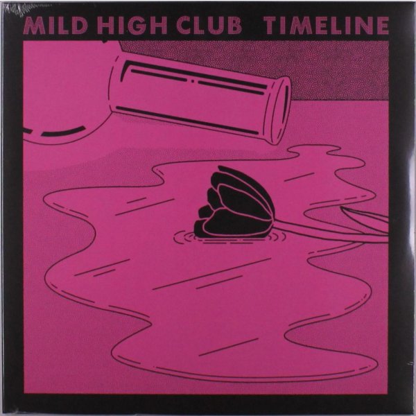 Mild High Club: Timeline