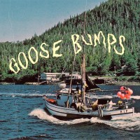 Boyscott: Goose Bumps (Green & Blonde Swirl Vinyl)