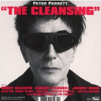 Peter Perrett: The Cleansing