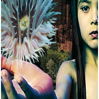 The Future Sound Of London: Lifeforms