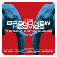 The Brand New Heavies: Sound of Acid Jazz