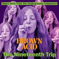 Various: Brown Acid: The Nineteenth Trip