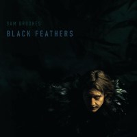 Sam Brookes: Black Feathers (180g)