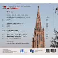 Die Orgeln im Freiburger Münster - Marienorgel