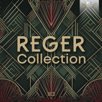 Reger Collection (Brilliant Classics)