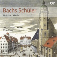 Various: Bachs Schüler - Motetten