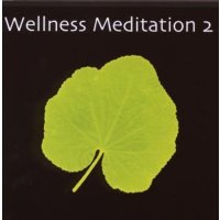 Various: Wellness Meditation 2