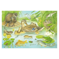 Schmidt Spiele Puzzle Tierfamilien 3 x 48 Teile 56222