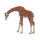 Bullyland Giraffe 63668