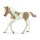 Schleich Paint Horse Fohlen 13886