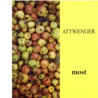 Attwenger: Most