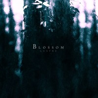 Lustre: Blossom