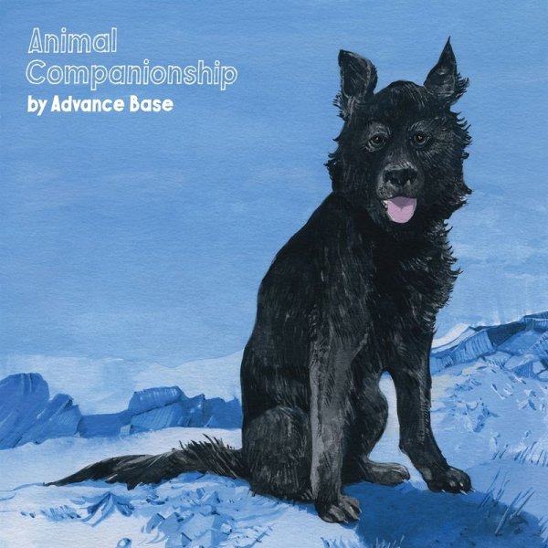 Advance Base: Animal Companionship (Clear Vinyl)