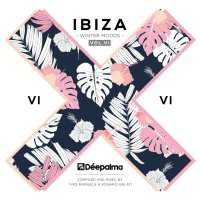 Various: Deepalma Ibiza Winter Moods Vol. 6