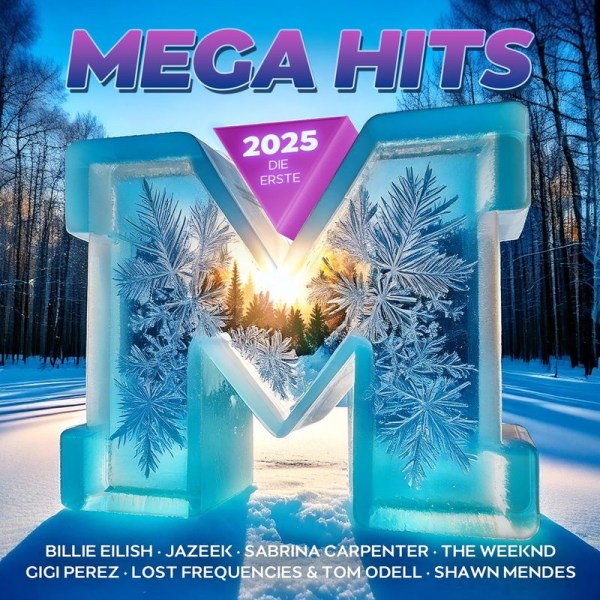 Various: MegaHits 2025 - Die Erste