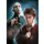 Harry Potter Multi-Puzzle Characters (3 x 1000 Teile)